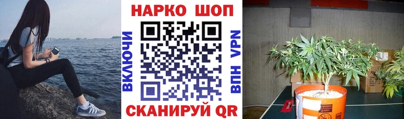 Что такое Светлогорск ГАШ  Каннабис  СОЛЬ  Меф мяу мяу  АМФЕТАМИН  COCAIN 