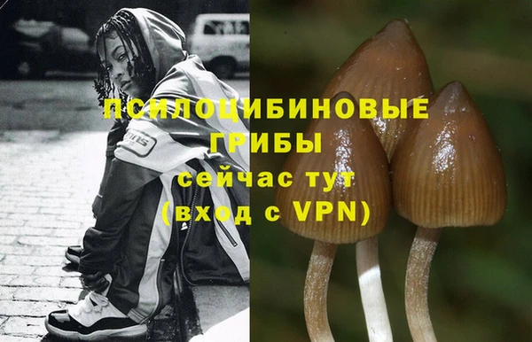 метадон Беломорск
