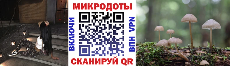 даркнет состав  Светлогорск  Псилоцибиновые грибы ЛСД 